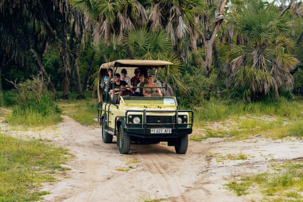 Safari Tour