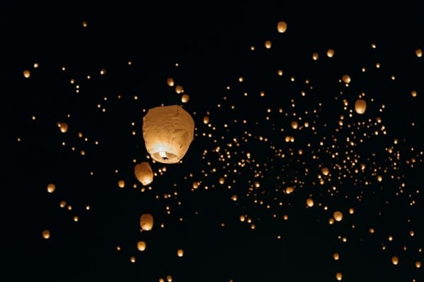 Night Safari Experience