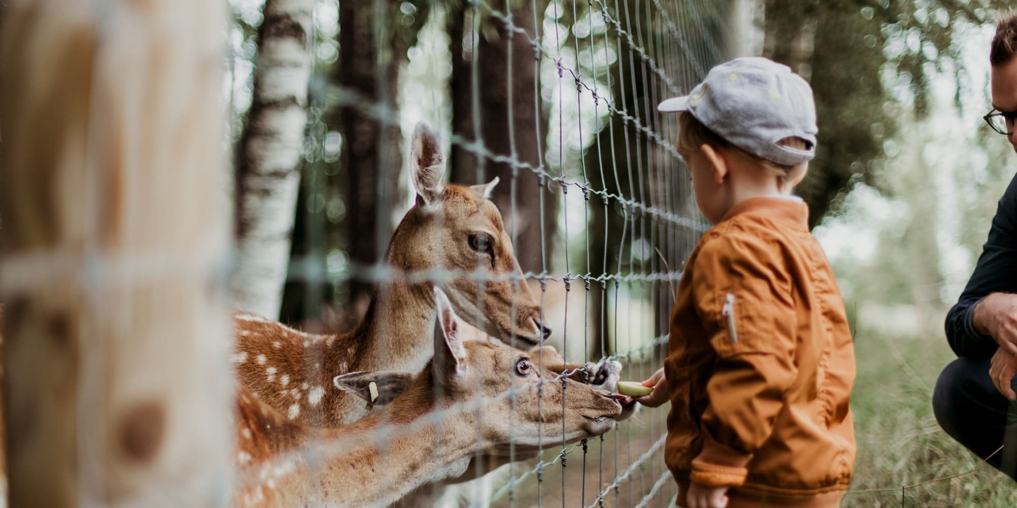 AstroZoo Safari Experience