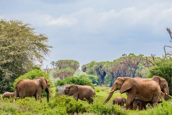 Family Plus Zoo Membership