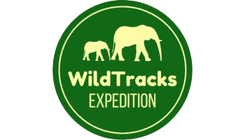 Partner-Logo