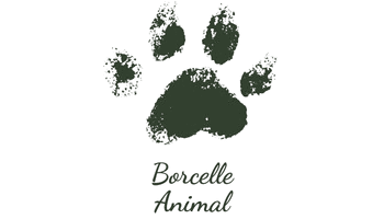 Partner-Logo
