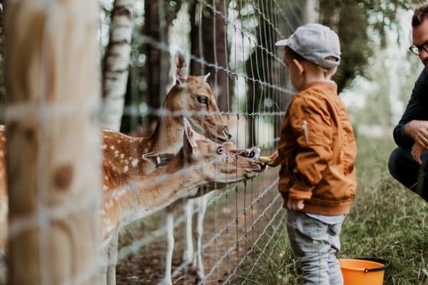 Photos with Animals
