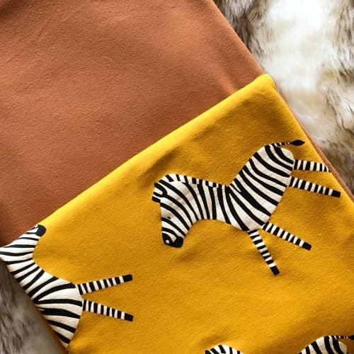 Cushion